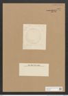 Diatomeae indet. (de-Toni-Nr.: Species 2427 ?) Zeichnungen Sammlung Grunow Nr. 5040 (NHMW-BOT-W0373299)